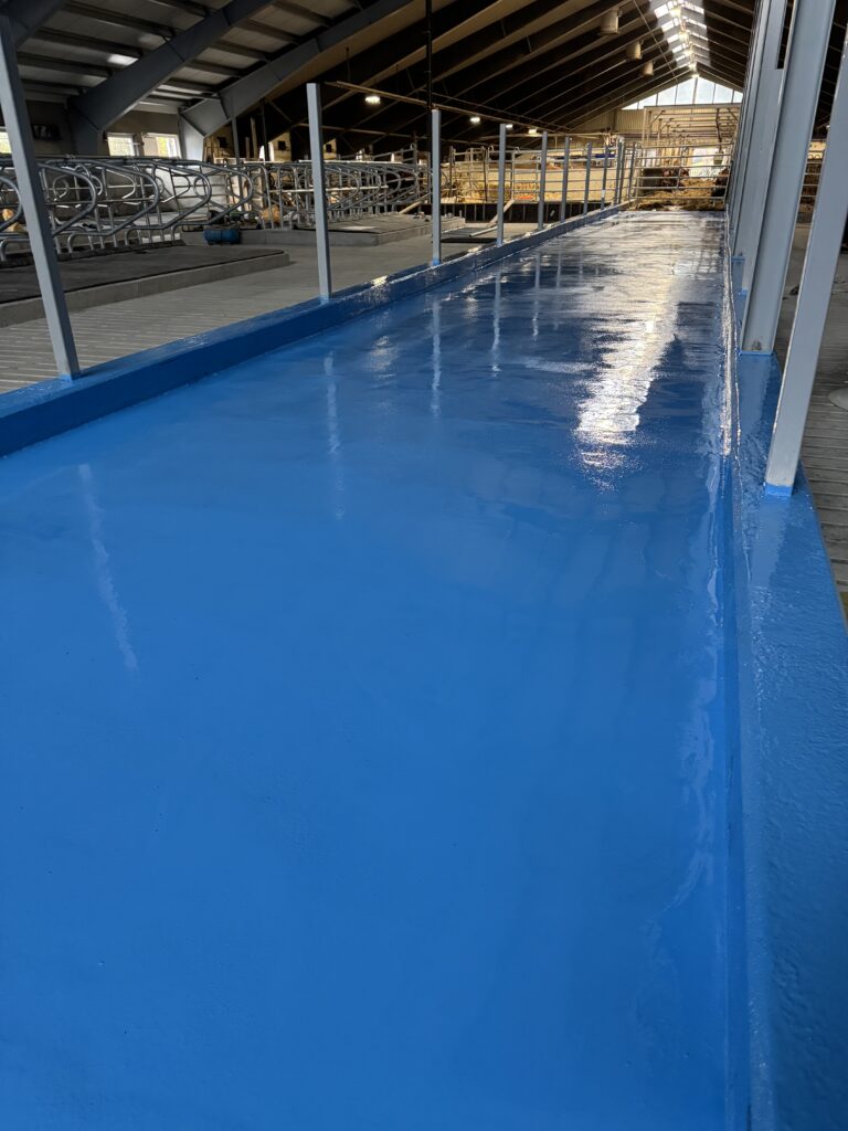 Alternativ tekst: Nyasfaltert bedromsgulv med blå epoxy overflate under taket i industrihall.